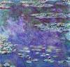 Water Lily Pond 3 By Monet