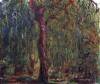 Weeping Willow By Monet