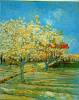 Orchard By Van Gogh