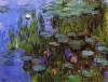 Gardens By Monet