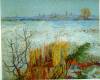 Arles By Van Gogh