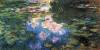 Water Lillies 4 By Monet