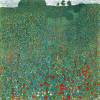 Poppy Field By Klimt