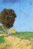 A Lane Near Arles By Van Gogh