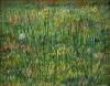 Patch Of Grass By Van Gogh