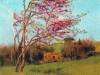 Landscape Blossoming Red Almond Study By Godward
