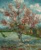 Pink Peach Trees Souvenir De Mauve By Van Gogh