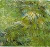 Grass By Van Gogh