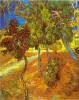 Trees By Van Gogh