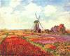 Tulips Of Holland 2 By Monet