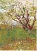 Cherry Tree By Van Gogh