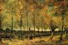 Lane With Poplars By Van Gogh