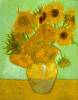 Twelve Sunflowers By Van Gogh