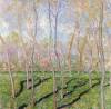 Trees In Winter Look At Bennecourt By Monet