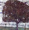 The Apple Tree By Klimt
