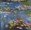 Waterlillies By Monet