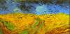 Wheatfield By Van Gogh
