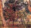 Study Of Pine Trees By Van Gogh