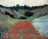 Poppy Field In Giverny By Monet