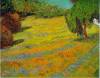 Sunny Lawn By Van Gogh