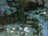 Water Lillies 1 By Monet