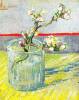 Almond Blossom Branch By Van Gogh